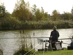 Westlands Angling